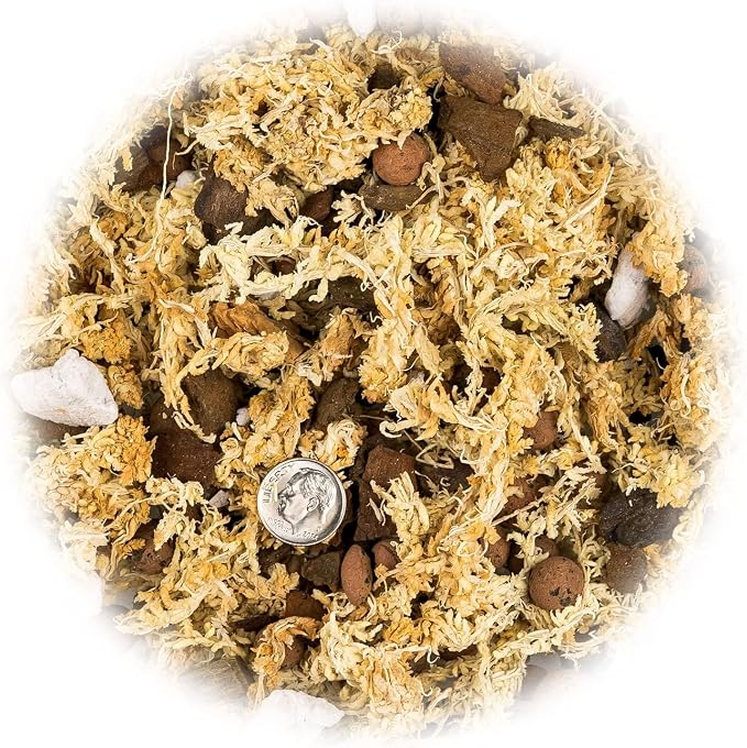 Premium Phalaenopsis Imperial Orchid Potting Mix - Hand Mixed in Small Batches | Great for Phalaenopsis of All Kinds - by GARDENERA - 2 Quart Bag