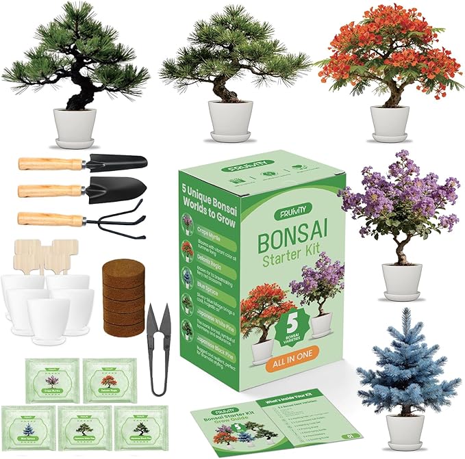 Bonsai Tree Kit for Beginners – 5 Bonsai Starter Kit for Beginner, Indoor for Growing Bonsai Plants with Tools & Planters – DIY Craft Gardening Gifts, White Elephant Gifts for Adults Men Women