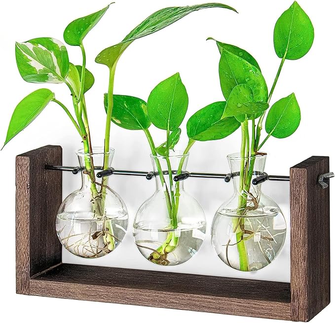Ivolador Wall Hanging Plant Propagation Station,Bulb Plant Terrarium with Wooden Stand,Unique Gardening Gifts for Women Plant Lovers,Hydroponic Indoor Planter Home Office Decor-3 Bulb Glass Vases
