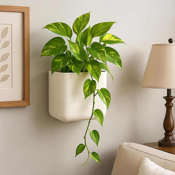 Phoenix Vine 6.5 Inch Wall Mounted Self-Watering Planter Pot