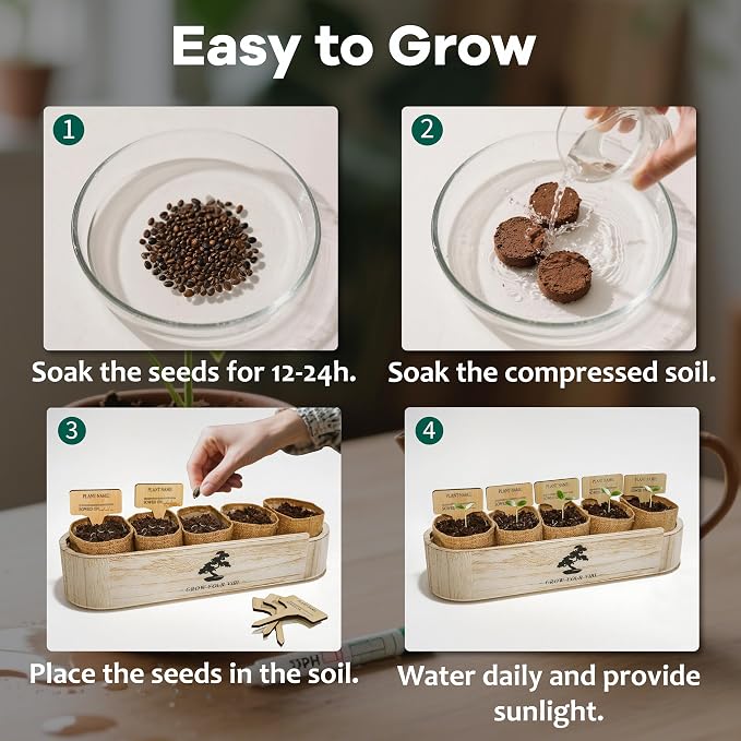 LUOJIBIE Bonsai Tree Kit for Beginners - Unique Gifts for Women, Crafts for Adults, for Women & Men,Complete Indoor Plant Kit,Easy House Plant