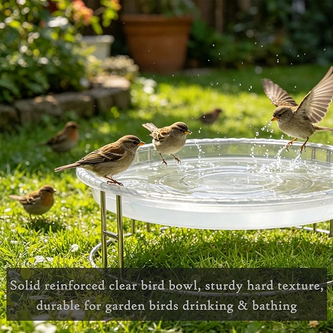 13-Inch Ground Bird Feeder and Bath Combo, Stainless Steel Ground Feeding Platform for Birds & Squirrels, with Dual Birdseed Mesh Trays, Birdbath, Attracting Creatures to Backyard, Patio