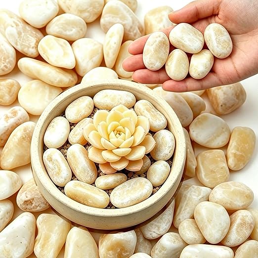6 lbs Natural River Rocks, 1-2 inch Decorative Pebbles for Indoor Plants, Fish Tank, Vase Filler, Aquarium, and Outdoor Garden Landscaping Rocks