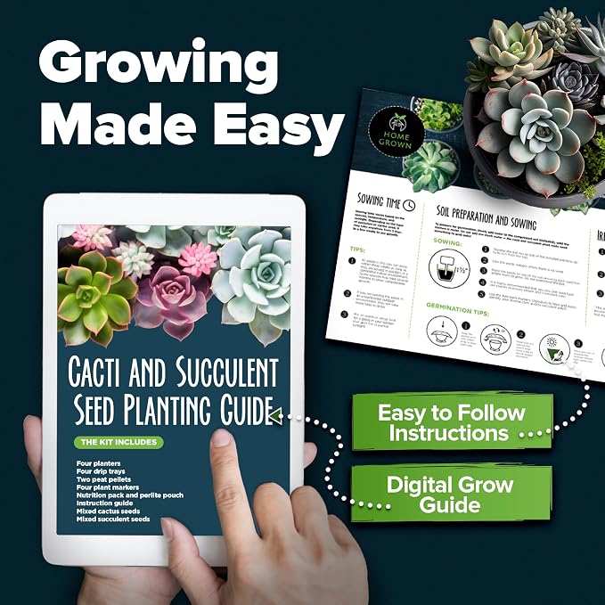 HOME GROWN Succulent & Cactus Seed Kit for Planting – [Enthusiasts Favorites] Premium Cactus & Succulent Starter Kit: 4 Planters, Drip Trays, Markers, Seeds Mix, Soil - DIY Gift Kits