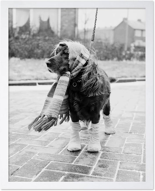 Poster Master Dog Dressed for Winter Print