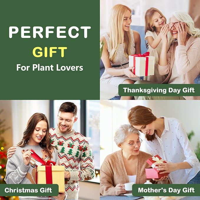 LUOJIBIE Bonsai Tree Kit, Complete Bonzai Tree Starter Kits, for Mom, Unique Christmas Birthday Gardening Gifts for Women Mom Men Grandkids, Crafts Hobby Kits