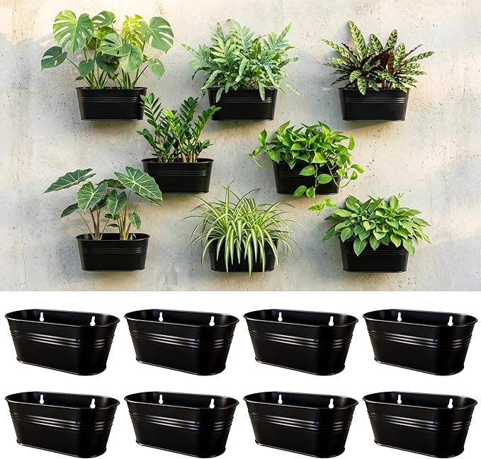 LaLaGreen Wall Planter Black Oval Metal Hanging Decor Plant Holder Indoor Wall