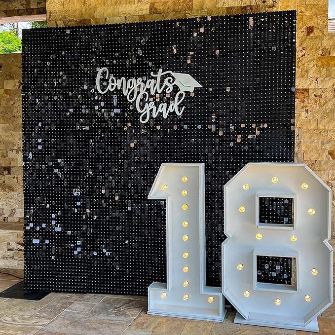 COKAOBE Black Shimmer Wall Backdrop, Photo Backdrops