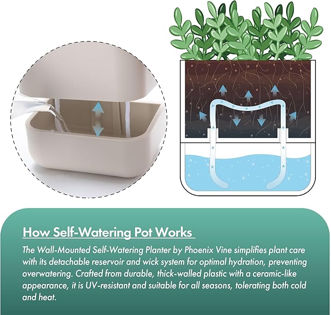 Phoenix Vine 6.5 Inch Wall Mounted Self-Watering Planter Pots