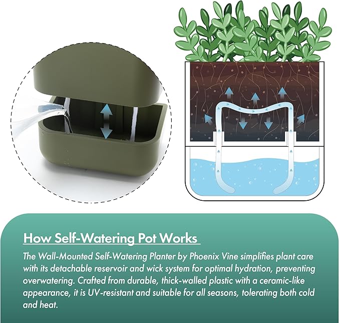 Phoenix Vine 6.5 Inch Wall Mounted Self-Watering Planter Pot