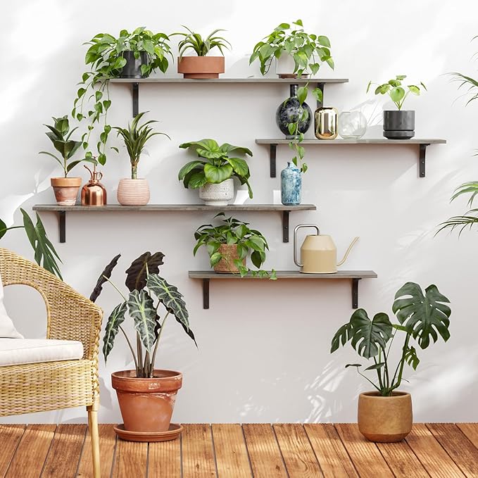 DINZI LVJ Long Wall Shelves, 55.1Inch Wall Mounted Shelves Set of 2, Extra