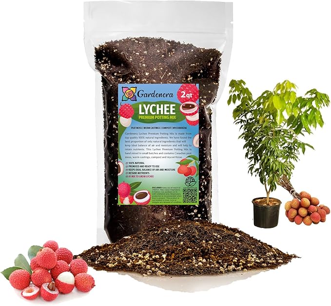 Premium Lychee Potting Soil Mix - Perfect Balance of Nutrients, Drainage, and Aeration for Thriving Lychee Trees - 2 Quart