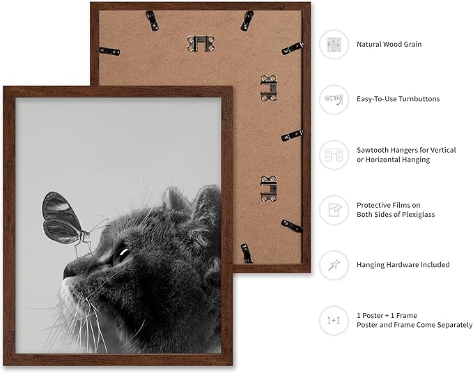 Poster Master Butterfly on Cat Print