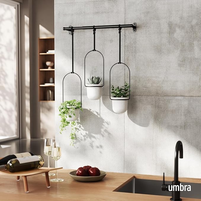Umbra Triflora Hanging Planter for Window, Indoor Herb Garden