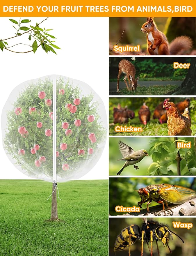 VITI Fruit Tree Netting for Cicadas - with 4Pcs 8Ftx5.3Ft Zipper&Drawstring Protection for Your Fruit Trees Garden Bird Netting Covers Blueberry Bush Tomato Bug Plant Protection Cherry Apple Tree