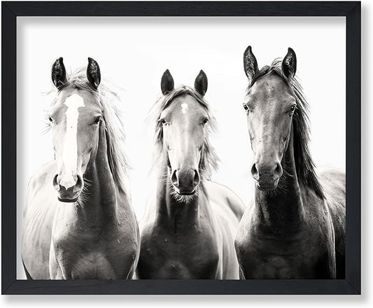 Poster Master Horse Poster
