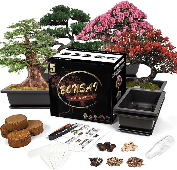 Bonsai Starter Kit, Growing Set Including Complete Gardening Tools with A Gift Box, Gifts for Women