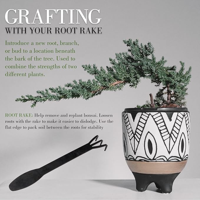 BambooMN Bonsai 2pc Set - 9" Root Pick and 9" Root Rake - 3 Sets