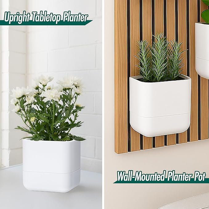 Phoenix Vine 6.5 Inch Wall Mounted Self-Watering Planter Pot