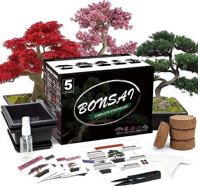 Bonsai Tree Starter Kit - Grow 5 Unique Indoor Japanese Bonsai Seeds, Complete Gardening DIY Set with Pots, Soil, Shears, Unique Gardening Gifts for Men Women