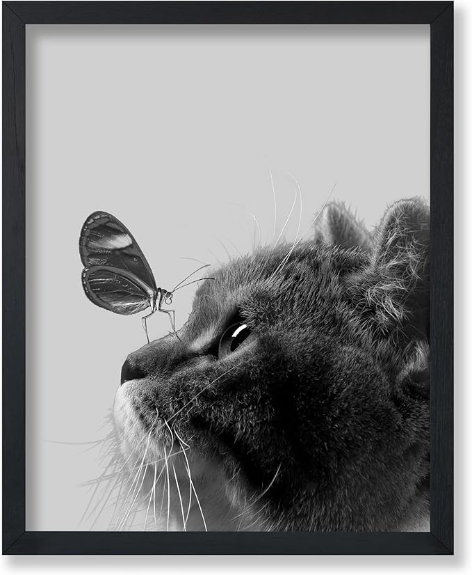 Poster Master Butterfly on Cat Print