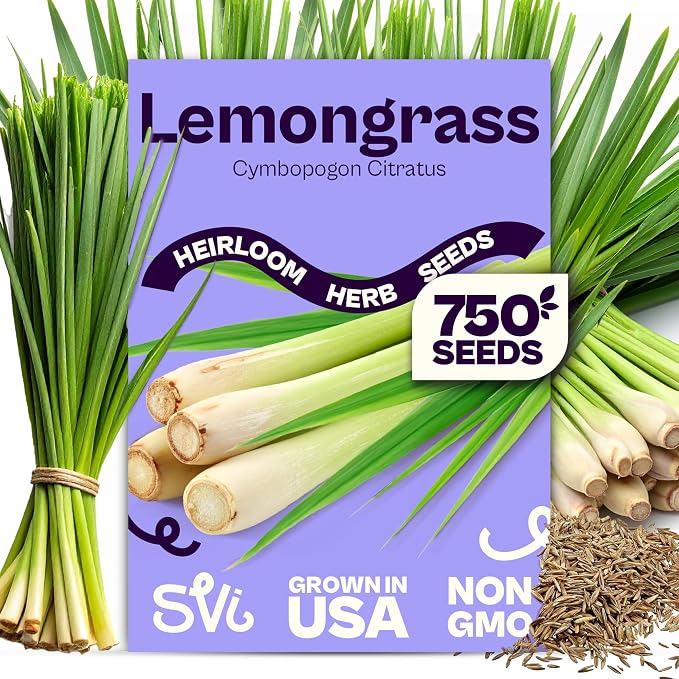 SVI 750 Lemongrass Seeds (Cymbopogon flexuosus) â West Indian Lemon Grass Seed Packets â Non GMO Heirloom Aromatic Culinary Herb Seeds for Containers, Outdoor & Indoor Herb Garden