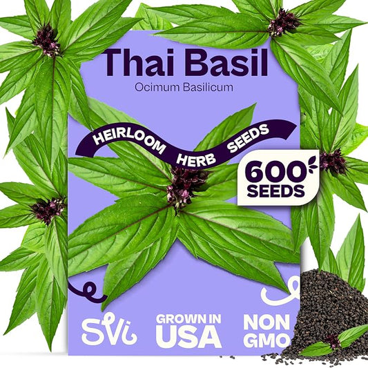 SVI 600 Sweet Thai Basil Seeds (Ocimum basilicum) â Basil Seed Packets Aromatic, Heat-Tolerant â Non GMO Heirloom Herb Seeds for Containers, Outdoor & Indoor Herb Garden