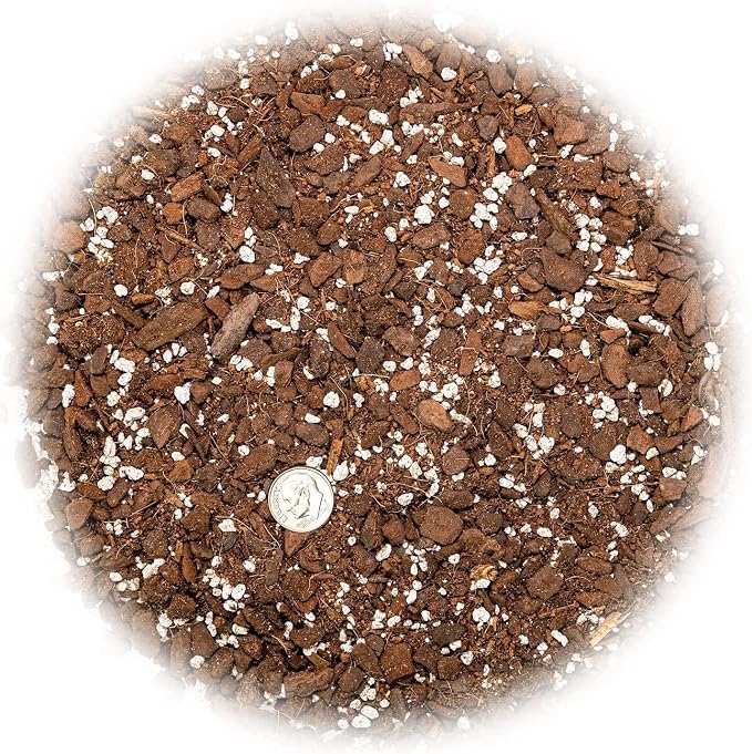 Gardenera Monstera Dubia Soil Mix - Promotes Healthy Root Growth and Moisture Retention - 2 Quart
