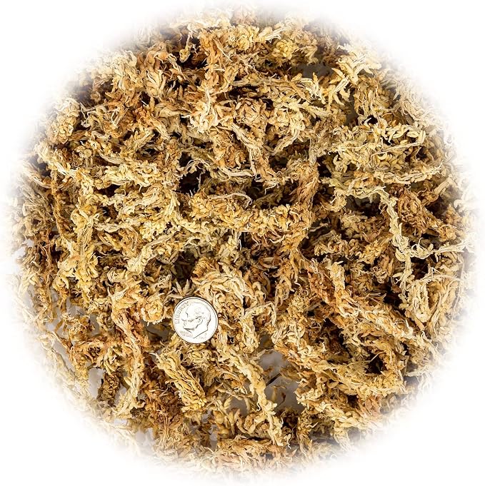 Premium New Zealand Sphagnum Moss by Gardenera - Organic Hand Mixed Long Fibered Sphagnum Moss Orchid - 4 Quart
