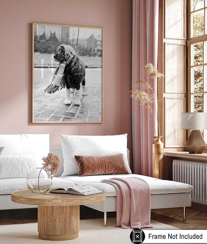 Poster Master Vintage Dog Dressed