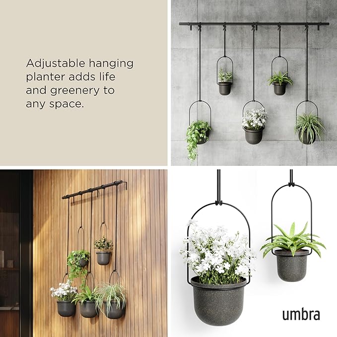 Umbra Triflora Hanging Planter for Window, Indoor Herb Garden
