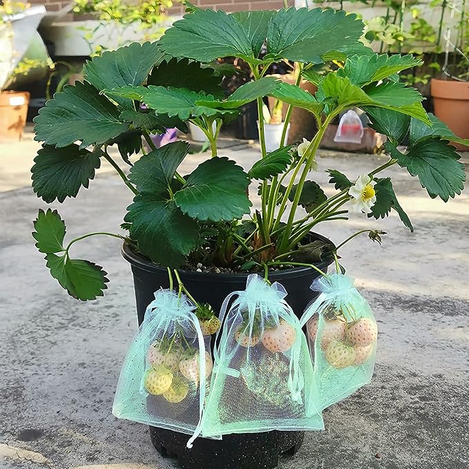 MIXC 100 Pack Fruit Protection Bags, 8" x 12" Mesh Drawstring Covers for Fruit Trees, Garden Plants, Flowers, Pest Barrier Netting Bags