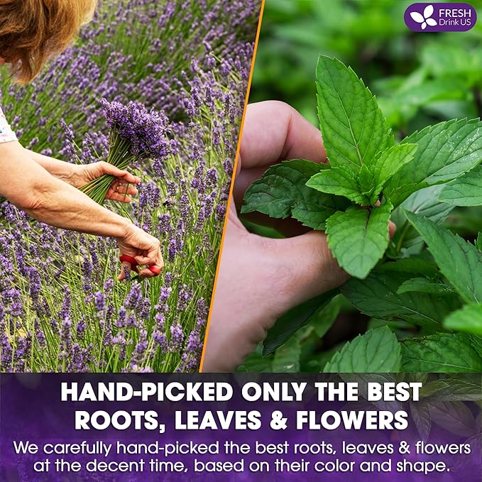 FreshDrinkUS, Premium 55 Tea Bags Lavender Mint Tea, 100% Natural, Blend of Lavender, Peppermint, Sage and Licorice. Made with Natural Material Tea Bags. No Sugar, No Caffeine, Vegan.
