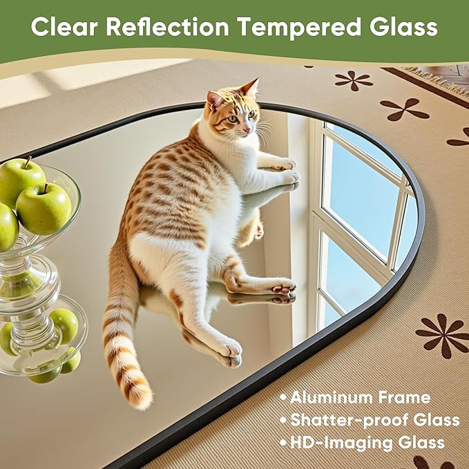 Full Length Mirror, Oversized Floor Mirrors, Leaning Free Standing Mirrors