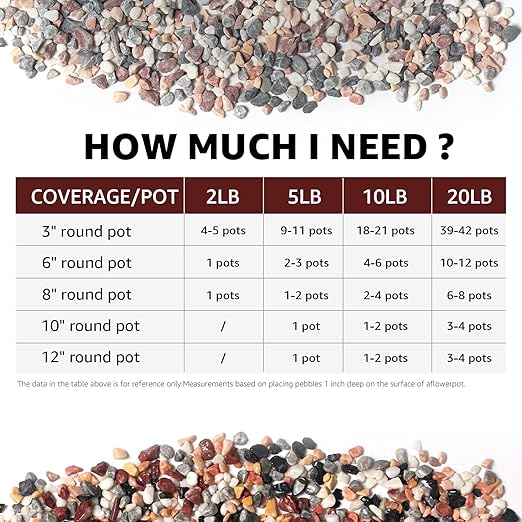 5lbs Natural Gravel Pebbles for Succulents and Cacti, 1/5 Inch Decorative River Stones – Perfect for Vases, Aquariums, Terrariums, and Outdoor Gardening, Mixed Colors (Mixed, 5 Pounds)