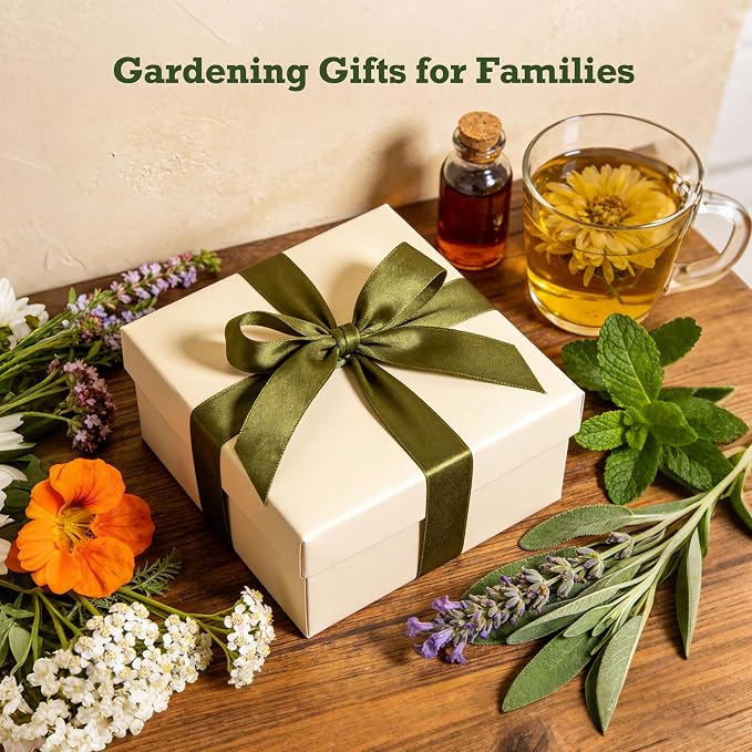 Lush&Dew Holistic Family Apothecary Seed Chest, 30,000+ Medicinal Herb Survival Seed Kit, Gardening Gifts for Women Men, 32 Varieties Heirloom Non-GMO Culinary Herb Seeds for Raised Bed Windowsill