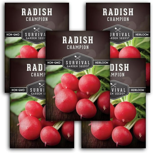 Champion Radish Seeds for Planting â Fast Growing Heirloom for Spring & Fall Gardens â Large Round Red Radishes, White Flesh â Heat & Cool Weather Hardy â Survival Garden Seeds (5 Packs)