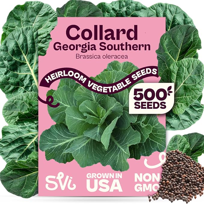 SVI 500 Georgia Southern Collard Green Seeds (Brassica oleracea) â Collard Greens Seed Packets, Heat and Cold Tolerant Collards â Vegetable Seeds for Outdoor Vegetable Garden, Raised Beds