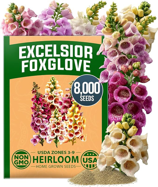 HOME GROWN Foxglove Seeds Mix 8000 (0.8g) Excelsior 2026 Spring for Planting Flower Seeds â Mixed Colors Wildflowers Bulk, Perennial Flower Seeds Packets, Cottage Garden (Digitalis purpurea)