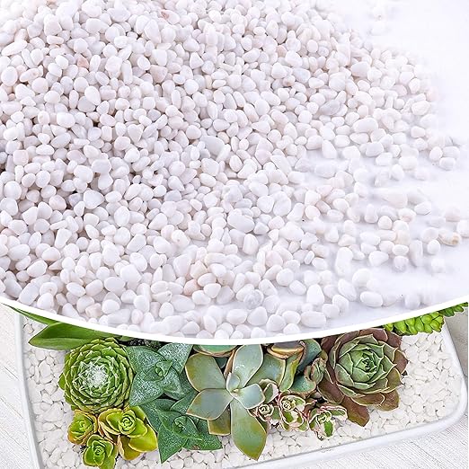 CJGQ 7lb 1/4" Small White Rocks for Plants,Potting,Succulents Aquarium Fish Tank Garden Vases Decorative Pebbles Gravel Rocks Stones