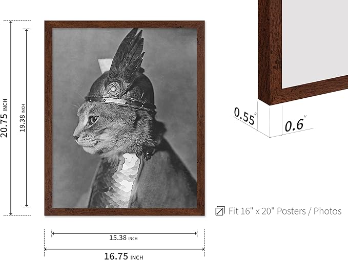 Poster Master Vintage Armored Cat