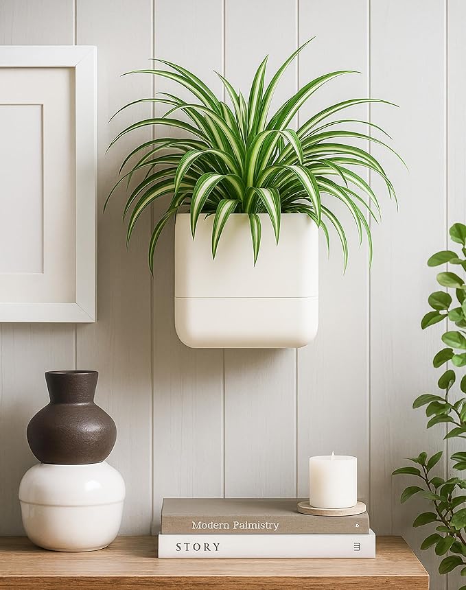 Phoenix Vine 6.5 Inch Wall Mounted Self-Watering Planter Pot