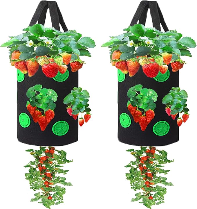 Miewslan 2 Pack Gardens Upside Down Strawberry Planter, Hanging Tomato Strawberry Grow Planter Garden Vegetable Planting Bags with Holes(Black)