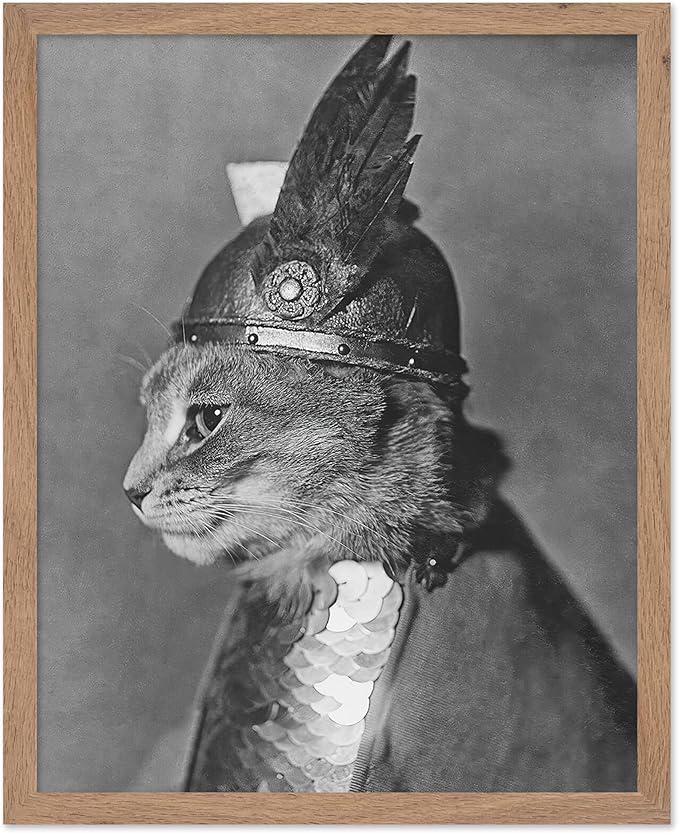 Poster Master Vintage Armored Cat