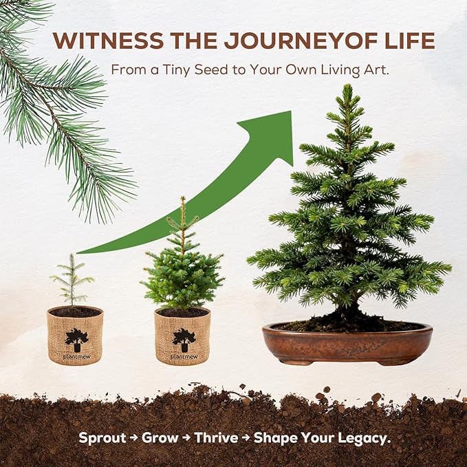 Bonsai Starter Kit for Adults – Complete Indoor Tree Growing Set with Jacaranda Seeds, Tools & Planter | DIY Gardening Hobby Kits for Plant Lovers, Unique Easter Gifts for Men & Women
