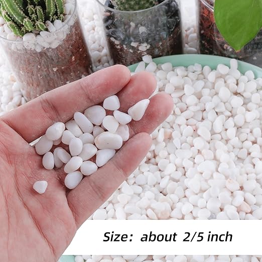 18lb 1/4" Small White Rocks for Plants,Potting,Succulents Aquarium Fish Tank Garden Vases Decorative Pebbles Gravel Rocks Stones