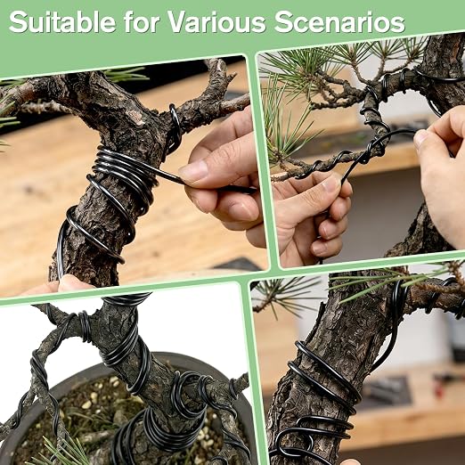 Bonsai Wire Kit, 147 Feet Total 5 Sizes Aluminum Plant Wire for Bonsai Training, Essential Bonsai Tools