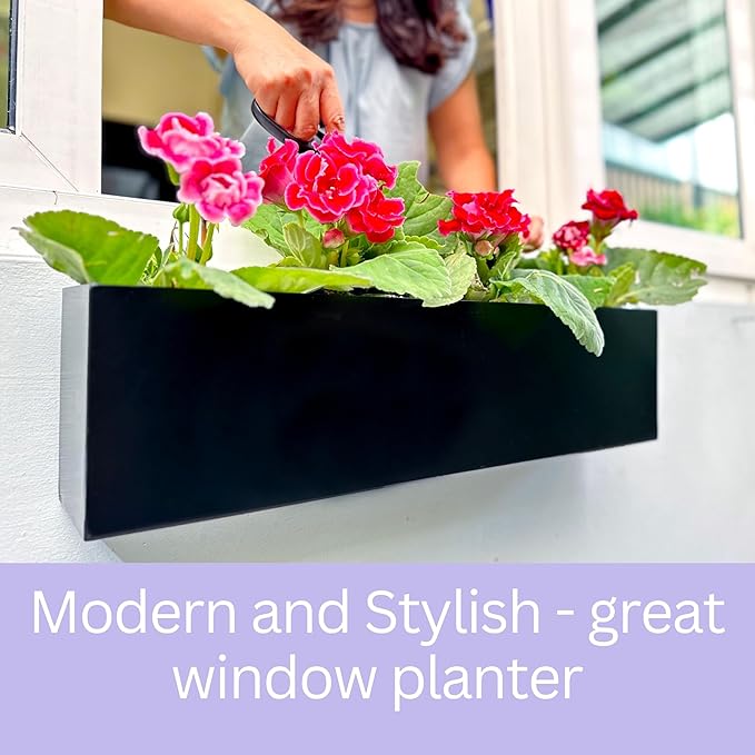 LaLaGreen Wall Planters Carbon Steel Black Metal Hanging Flower Pot