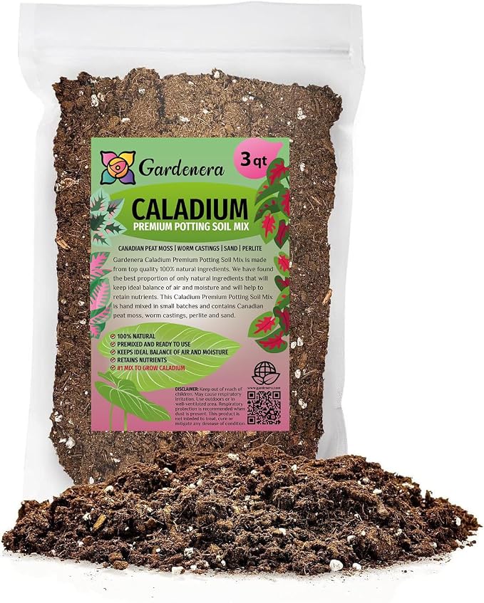 GARDENERA Caladium Plant Potting Soil - Enhance Colorful Beauty and Health with Professional Grade Nutrient-Rich Mix - 3 Quart