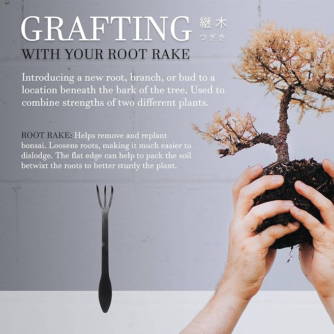 BambooMN Bonsai Root Rake Tool - 30 Pieces